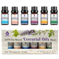 6 Pack of 100% Pure Essential Aromatherapy Oils Blends