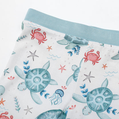 Turtles Two-Piece PJs - Long Set