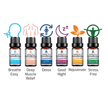 6 Pack of 100% Pure Essential Aromatherapy Oils Blends